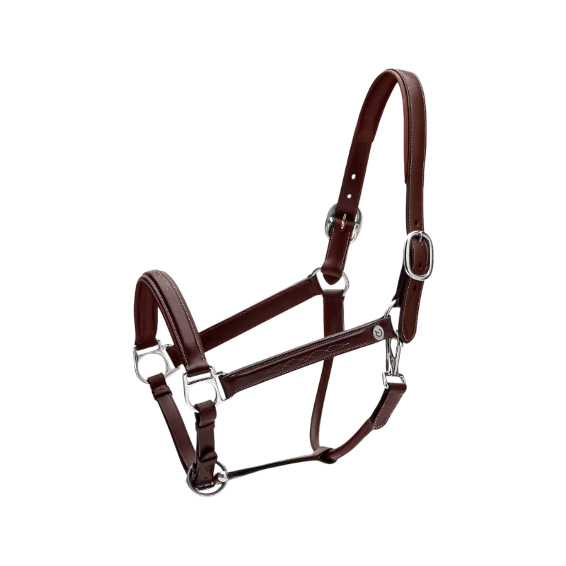 Dyon - Licol cuir Fancy Working Collection marron