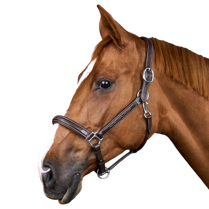 Dyon - Licol cuir Fancy Working Collection marron