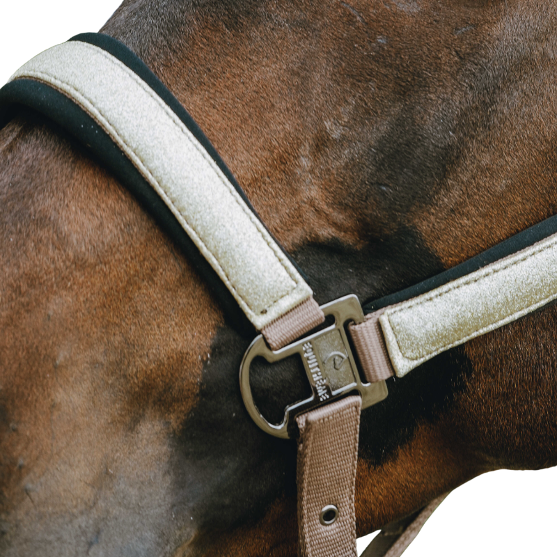 Equithème - Licol en nylon Glowy beige/ doré