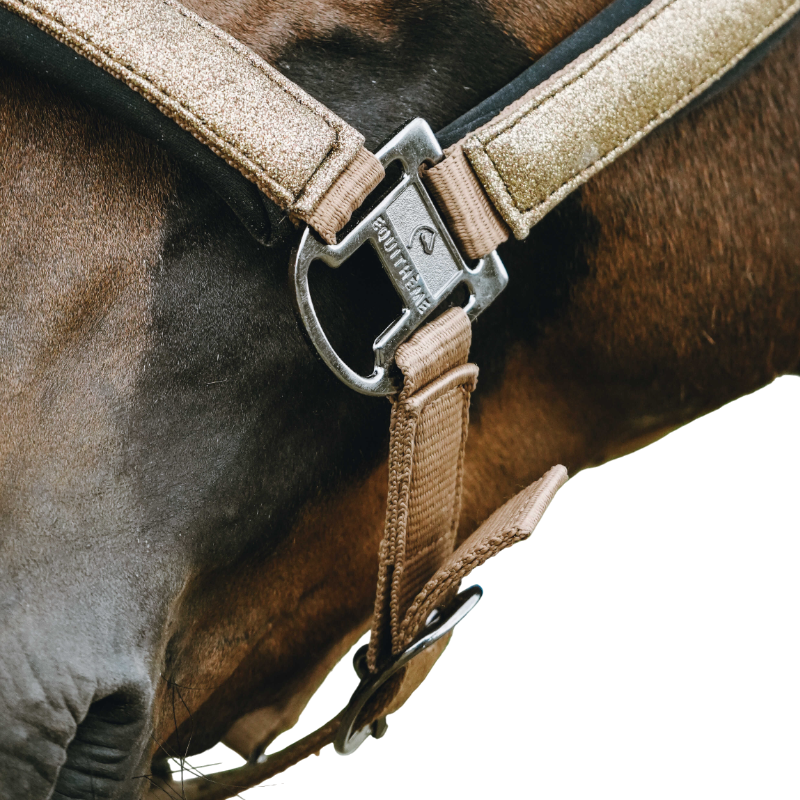 Equithème - Licol en nylon Glowy beige/ cuivre