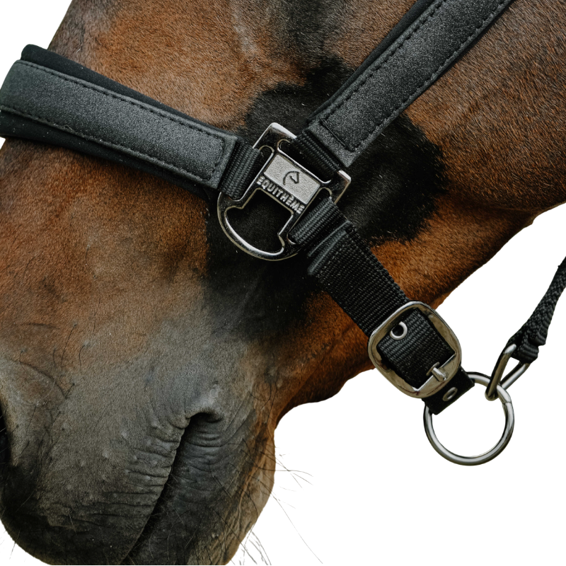 Equithème - Licol en nylon Glowy gris/ argent