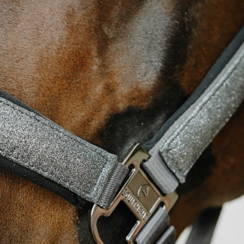 Equithème - Licol en nylon Glowy gris clair/ gris clair