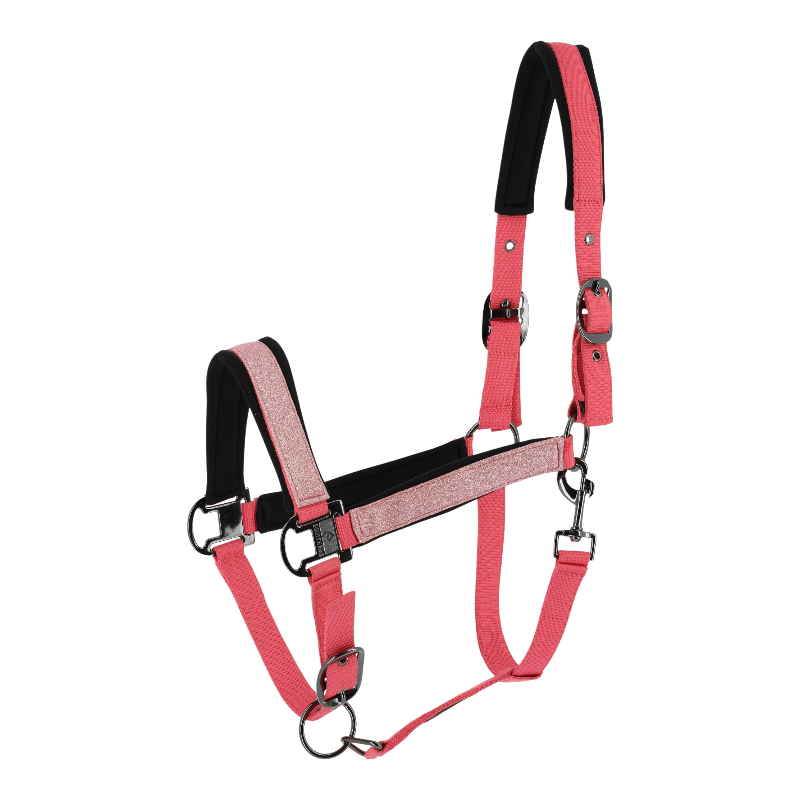 Equithème - Licol en nylon Glowy rose/ rose