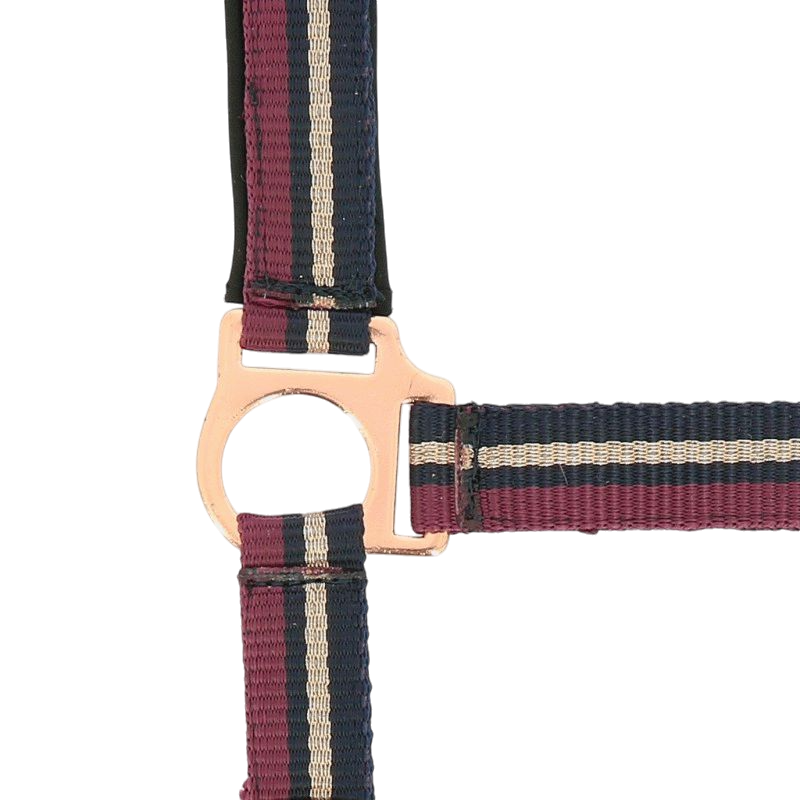 Norton - Shiny plum/navy/rose gold halter and lead