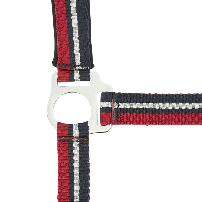 Norton - Shiny red/navy/silver halter and lead