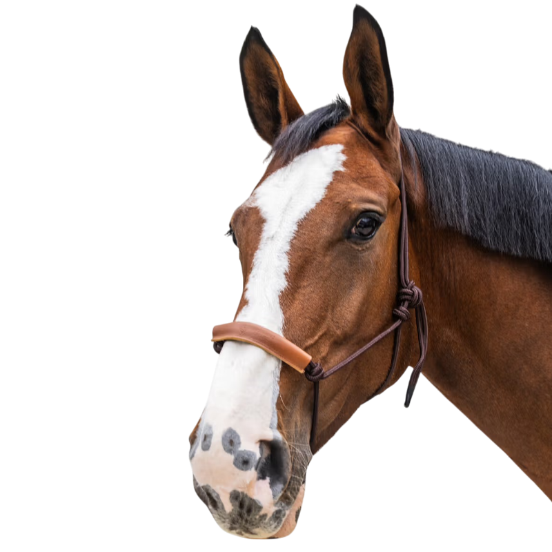 Kentucky Horsewear - Licol éthologique Corde marron