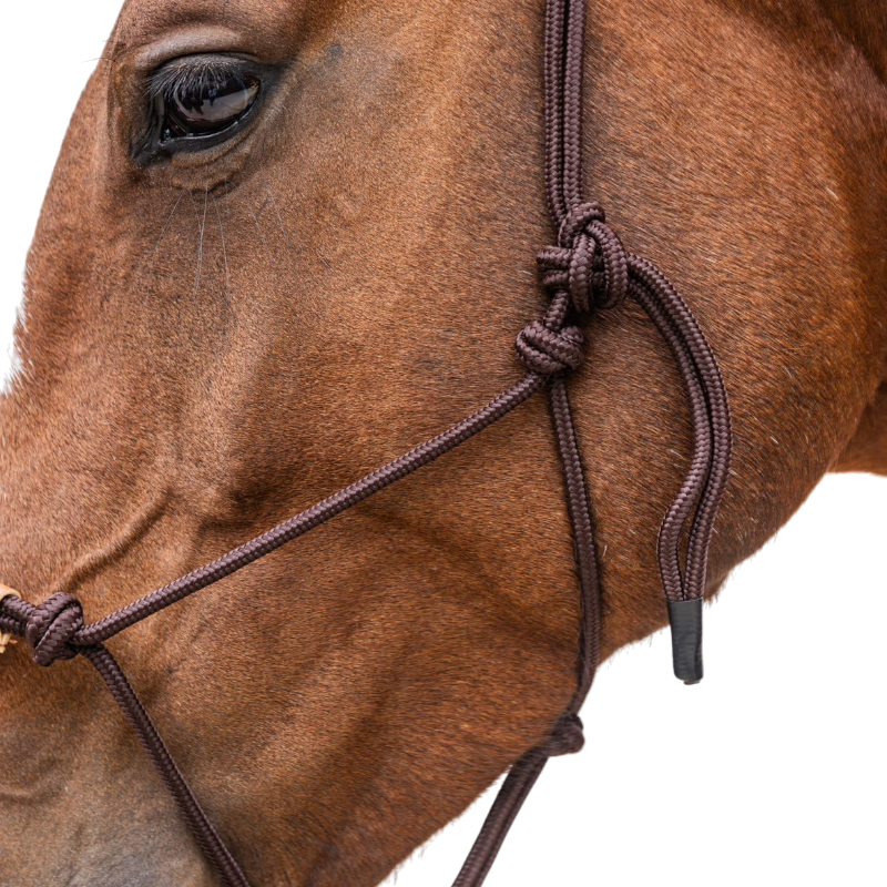 Kentucky Horsewear - Licol éthologique Corde marron