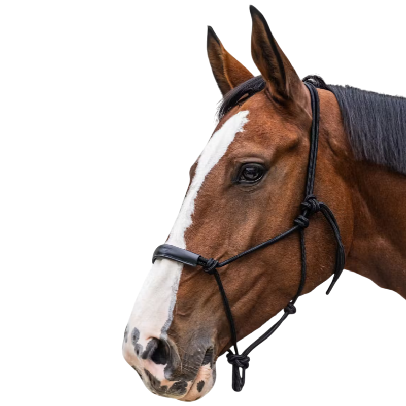 Kentucky Horsewear - Licol éthologique Corde noir