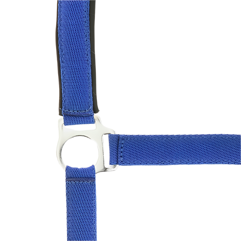 Norton - Royal blue neoprene lined nylon halter