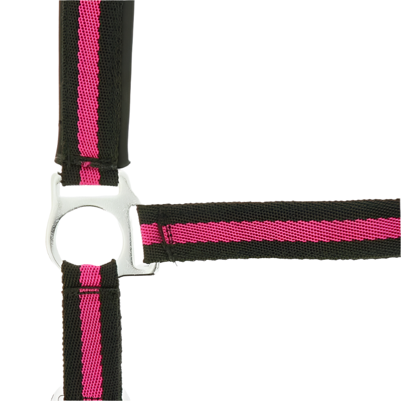 Norton - Neoprene lined nylon halter black/raspberry