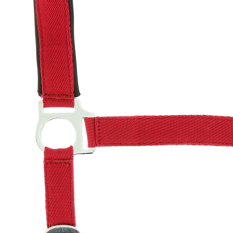 Norton - Red neoprene lined nylon halter