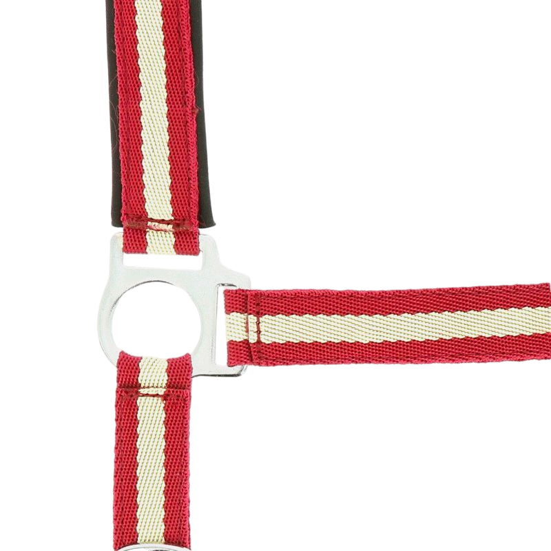 Norton - Red/ecru neoprene lined nylon halter