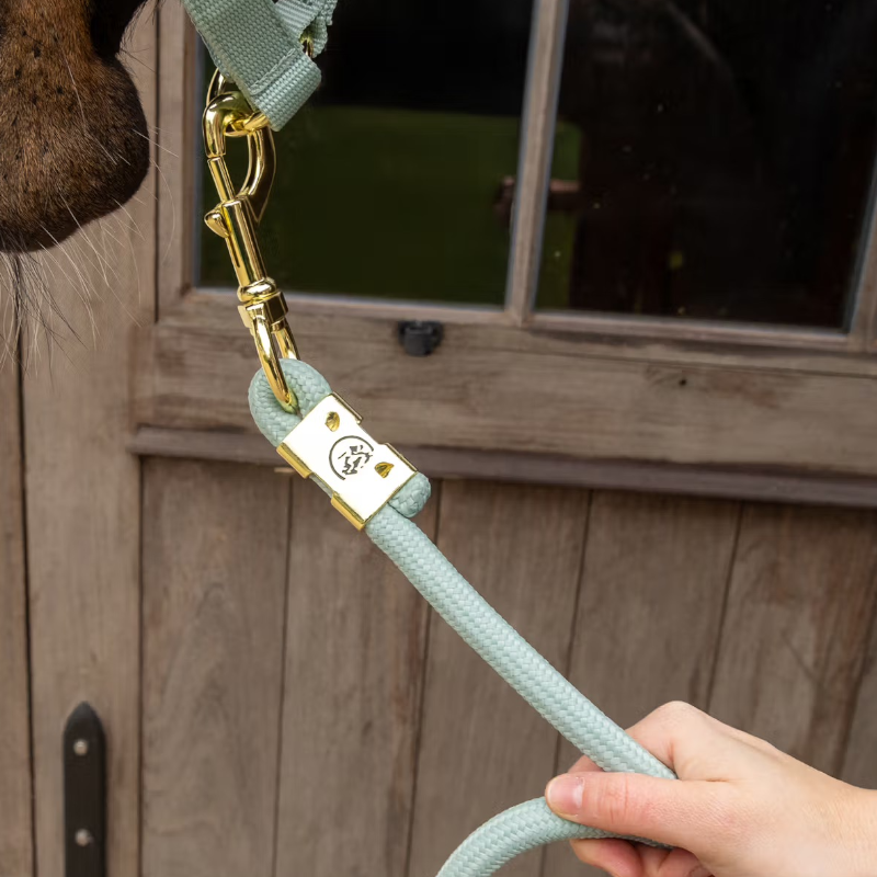 Kentucky Horsewear - Longe Rope Basic menthe 2m