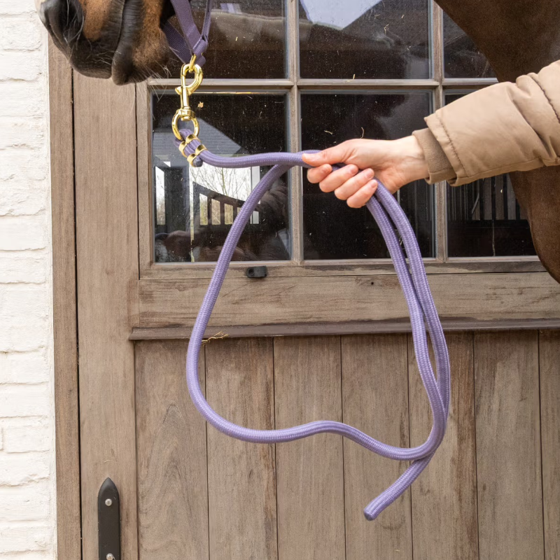 Kentucky Horsewear - Longe Rope Basic violet 2m