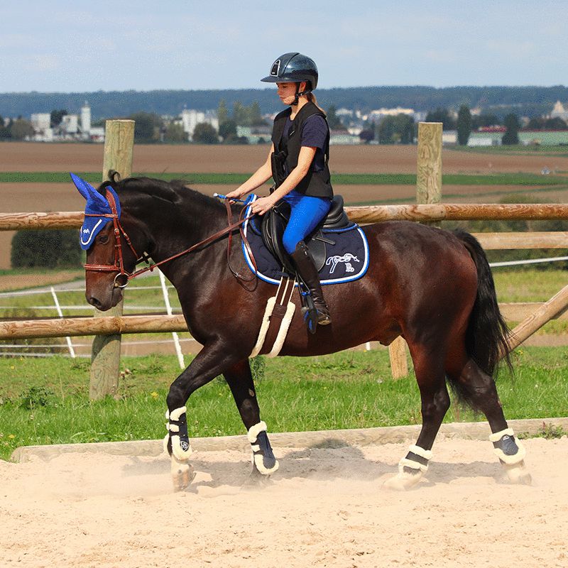 Flags & Cup - Pantalon d'équitation Cayenne bleu roi | - Ohlala