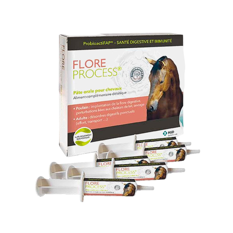 MSD - Flore Process food supplement in syringes (x5)