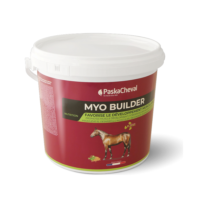 Paskacheval - Complément alimentaire musculaire Myo Builder