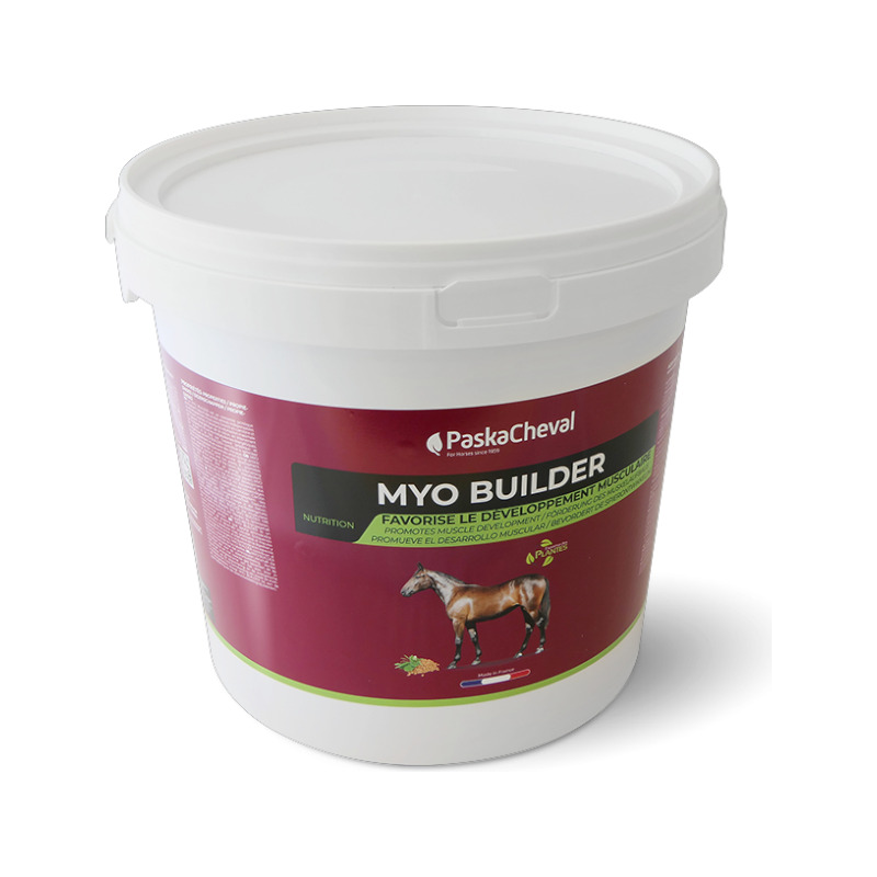 Paskacheval - Complément alimentaire musculaire Myo Builder