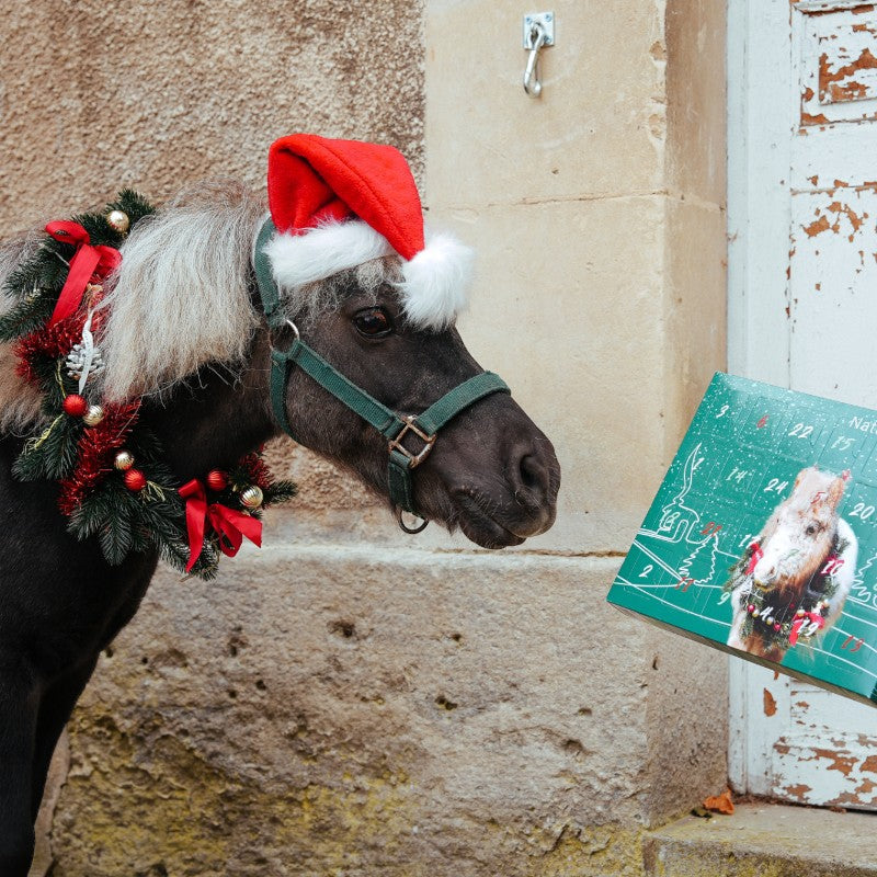 Natural' Innov - Natural'Christmas Gourmet Advent Calendar 2025 