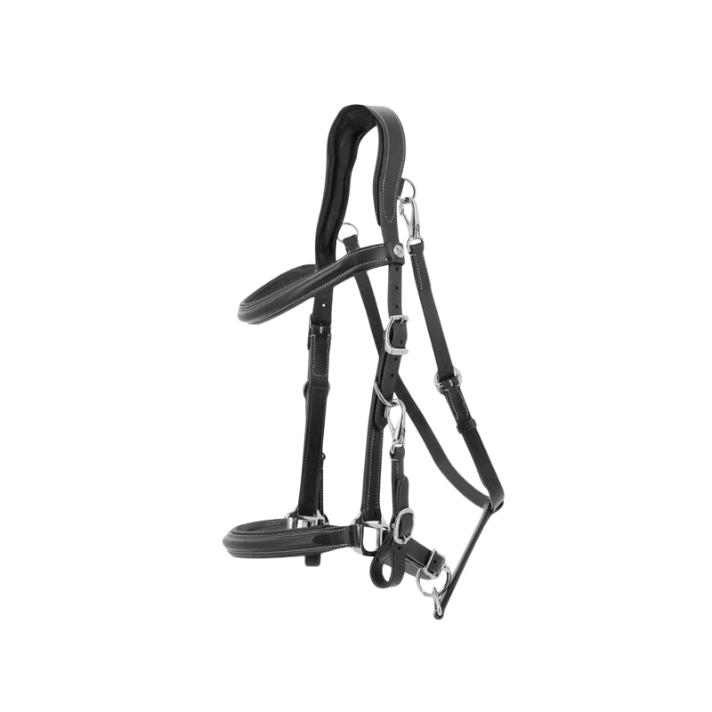 Norton - Black Trekking Halter Bridle