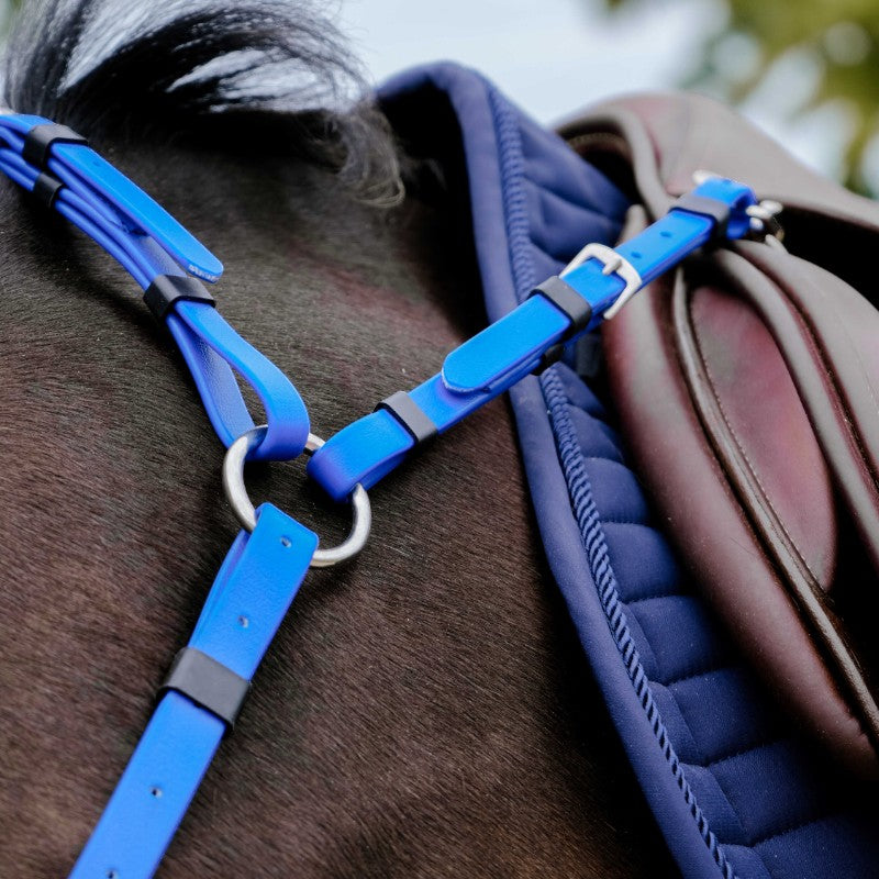 Norton - Collier de chasse endurance Pop bleu électrique | - Ohlala