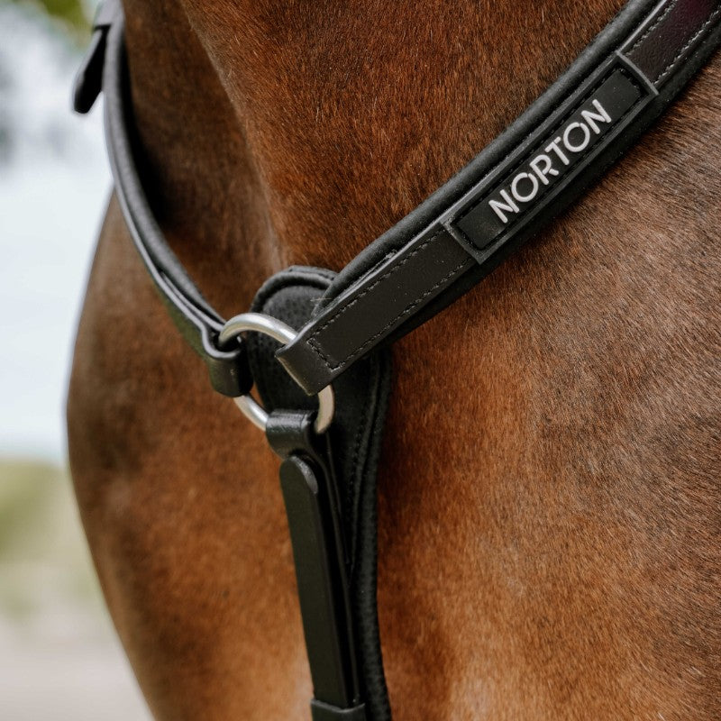 Norton - Collier de chasse endurance Pop noir | - Ohlala