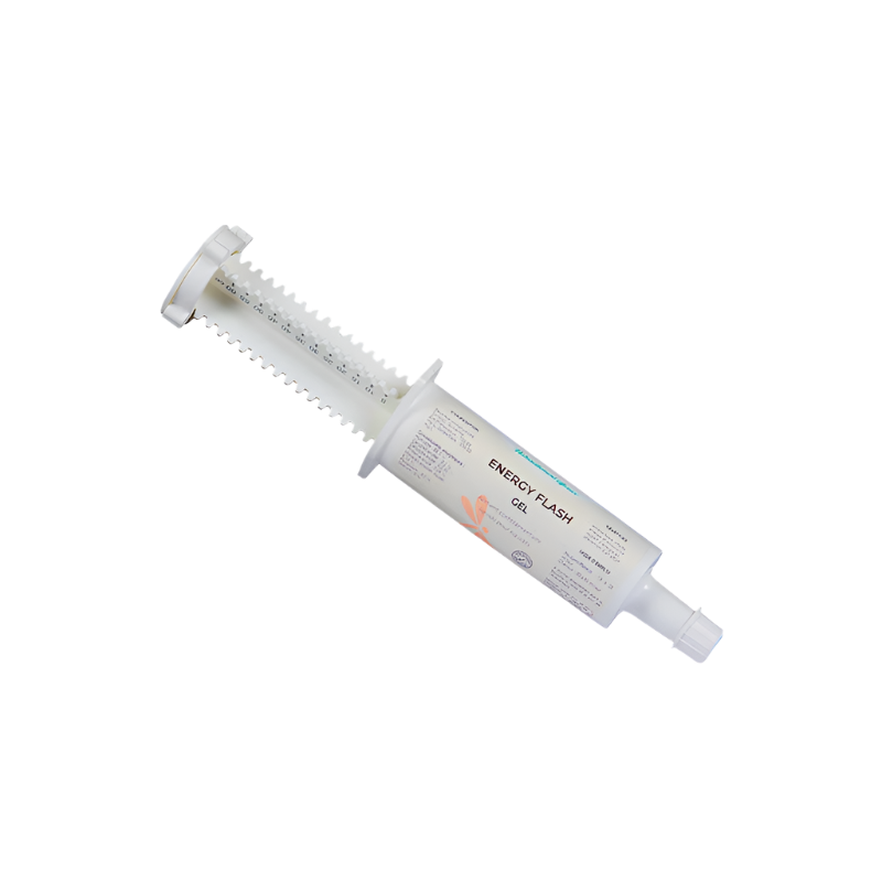 Nutragile - Energy Flash syringe food supplement