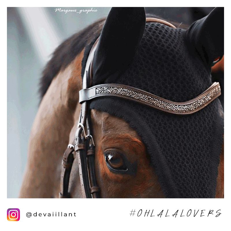 Equiline - Bonnet long pour chevaux noir | - Ohlala