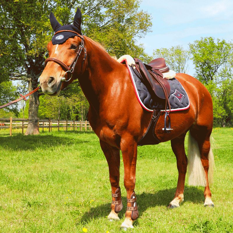 Jump'In - Tapis de selle marine/ blanc/ rouge | - Ohlala