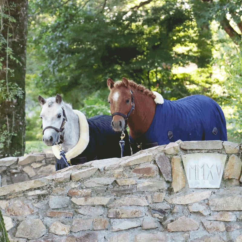 Kentucky Horsewear - Couverture d'écurie mini marine 400g | - Ohlala