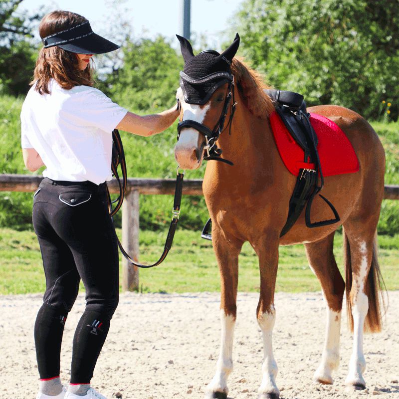 Collection Equine - T-shirt manches courtes Sans Faute blanc | - Ohlala