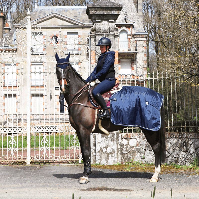 LeMieux - Gants d'équitation Pro Touch noir | - Ohlala