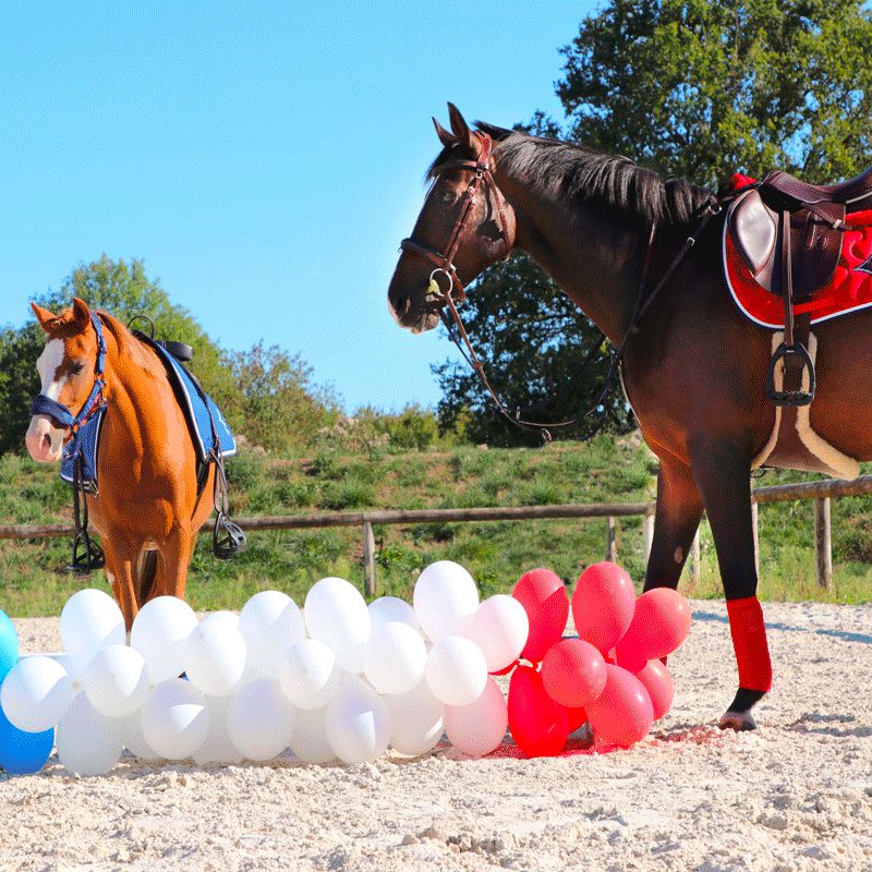 Jump'In - Tapis de selle bleu roi/ blanc/ marine | - Ohlala