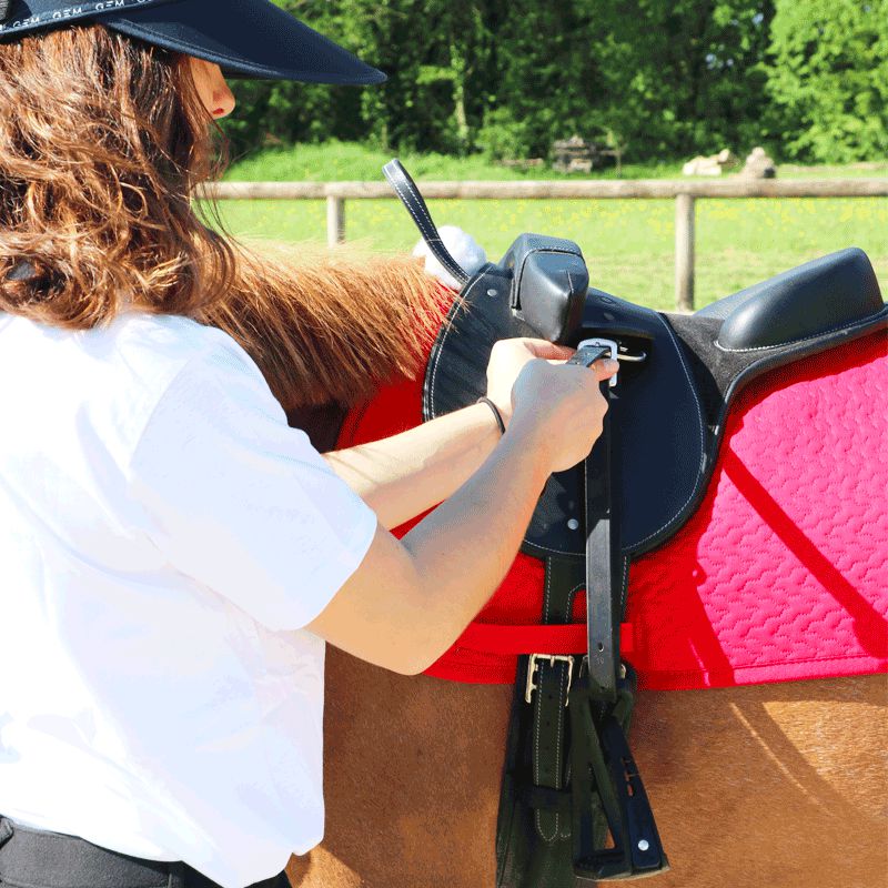 TdeT - Tapis de selle Thérèse rouge | - Ohlala