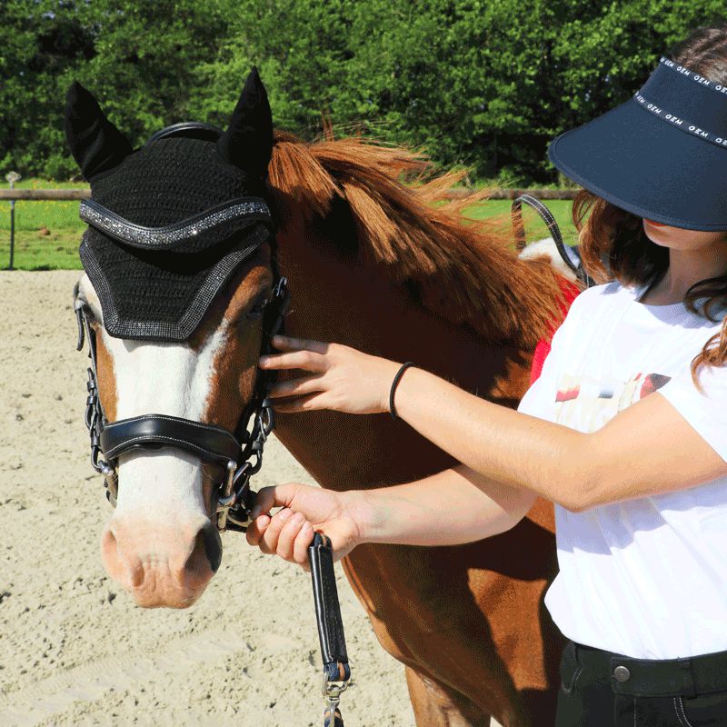 Collection Equine - T-shirt manches courtes Sans Faute blanc | - Ohlala