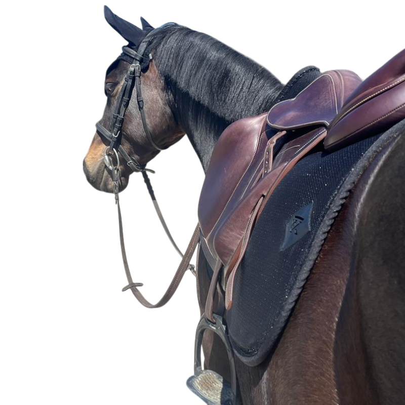 Oxxer - Tapis de selle Mesh noir/ noir paillettes noires | - Ohlala