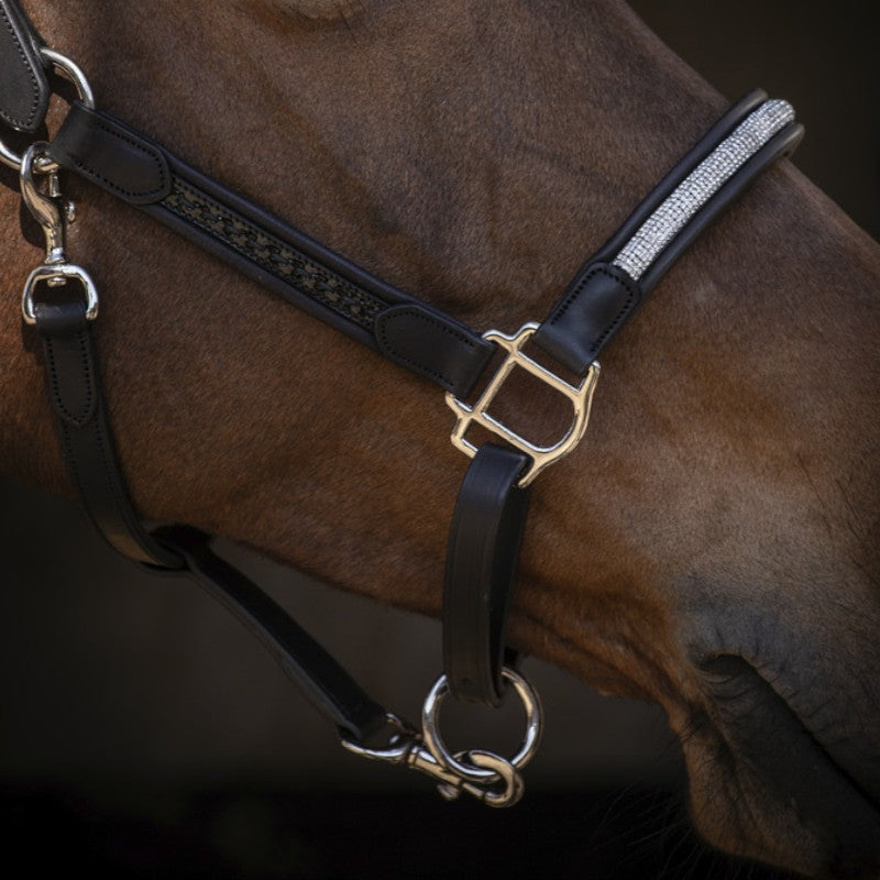 Pénélope - Black Harmony Halter 