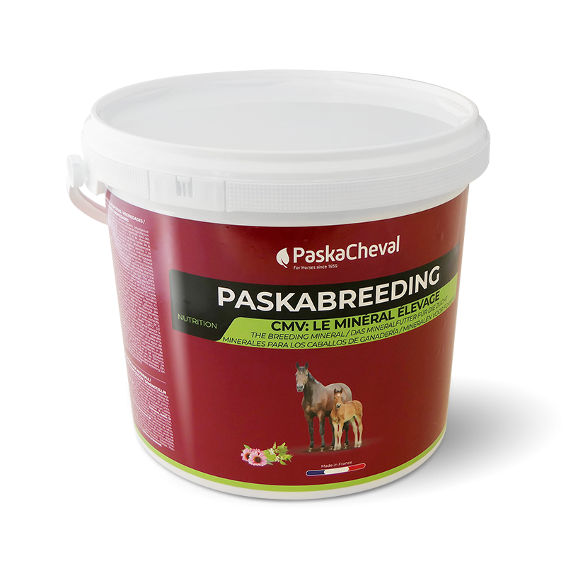 Paskacheval - Paskabowering GROMULIED VOEDSELSPRIJS