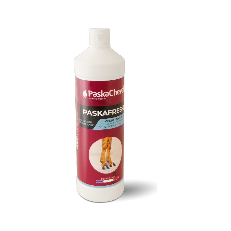 Paskacheval - Koelgel voor Paskafresh -leden