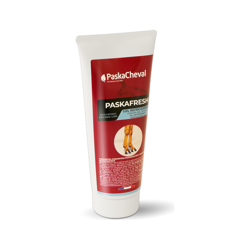 Paskacheval - Koelgel voor Paskafresh -leden