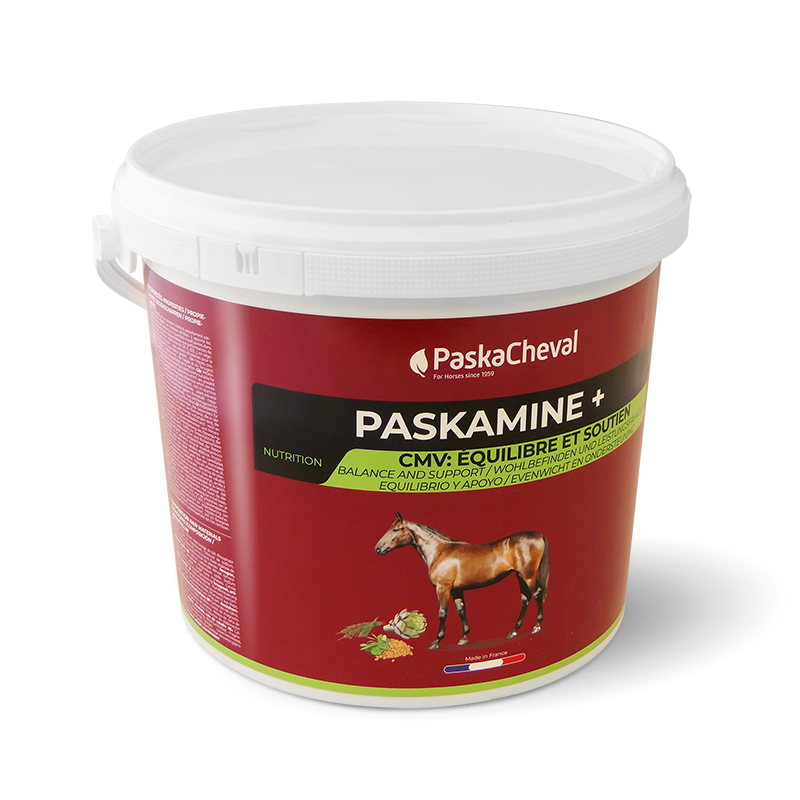 Paskacheval - Complément alimentaire performance Paskamine