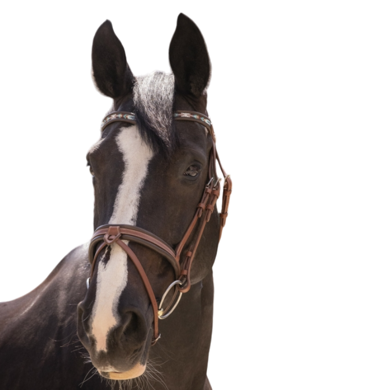 Pénélope Store - Smoothie pearl bridle with cognac/turquoise reins