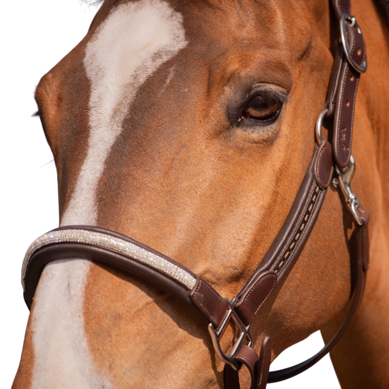 Pénélope - Harmony bridle Havana 