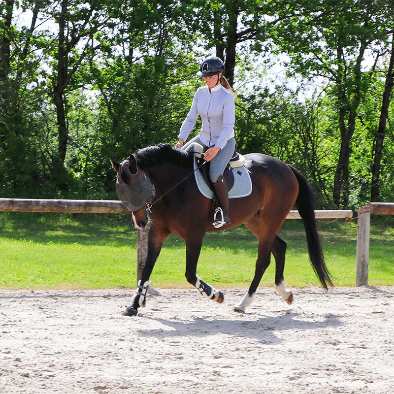 Jump'In - Pantalon d'équitation femme Super X Gris | - Ohlala