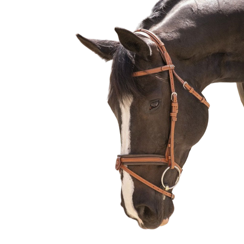 Pénélope store - Cognac Elegance bridle