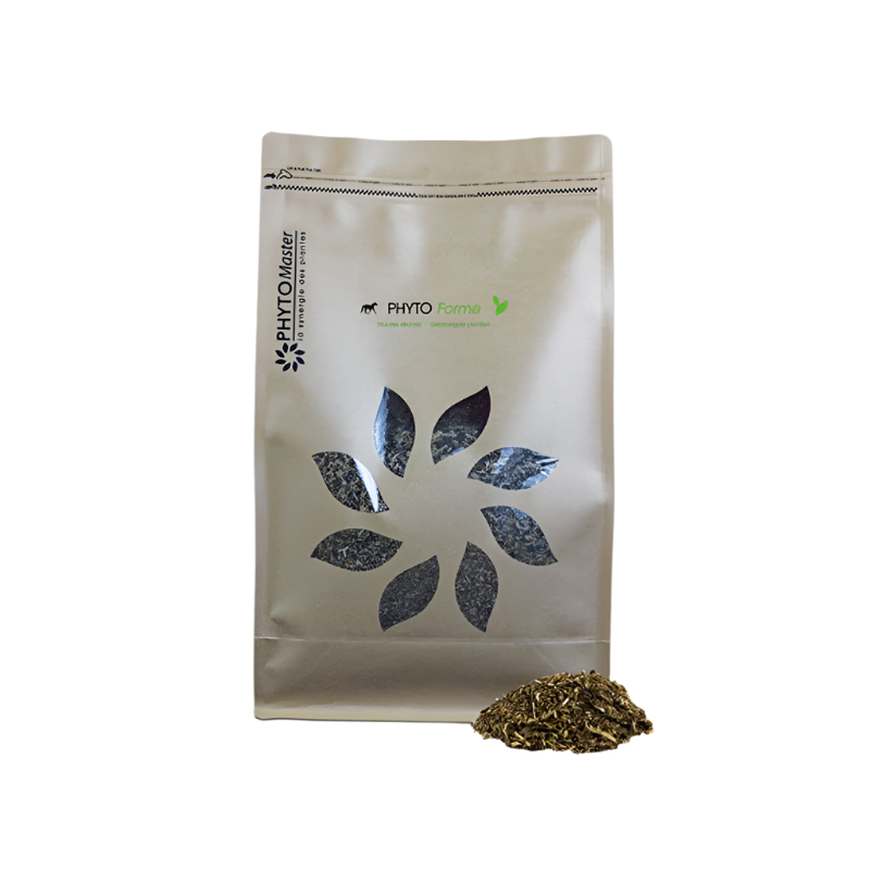 PhytoMaster - Phyto Forme Vitalitäts-Nahrungsergänzungsmittel 1 kg