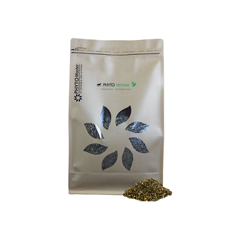 PhytoMaster - Phyto Verrues epidermis unterstützendes Nahrungsergänzungsmittel 1 kg