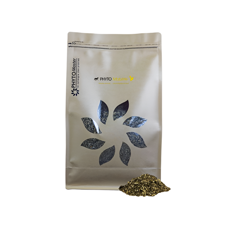 PhytoMaster - Gelenkkomfort-Nahrungsergänzungsmittel Phyto Mobilité 1 kg