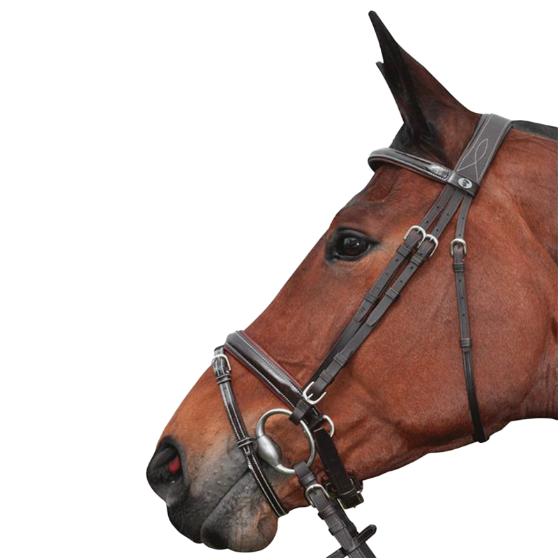 Privilege Equitation - Cane bridle with reins