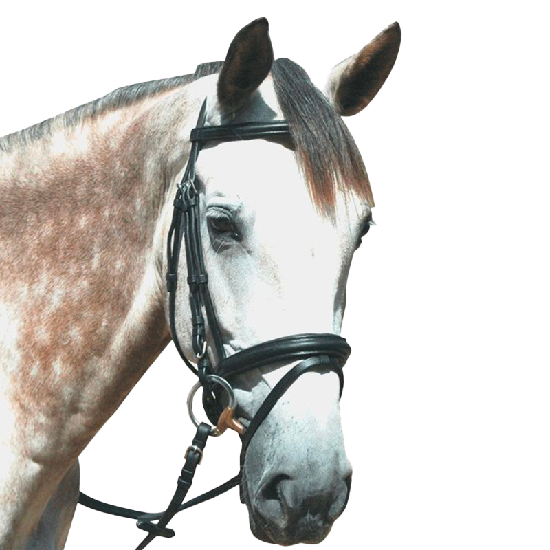 Privilege Equitation - Bridon Touquet avec rênes noir